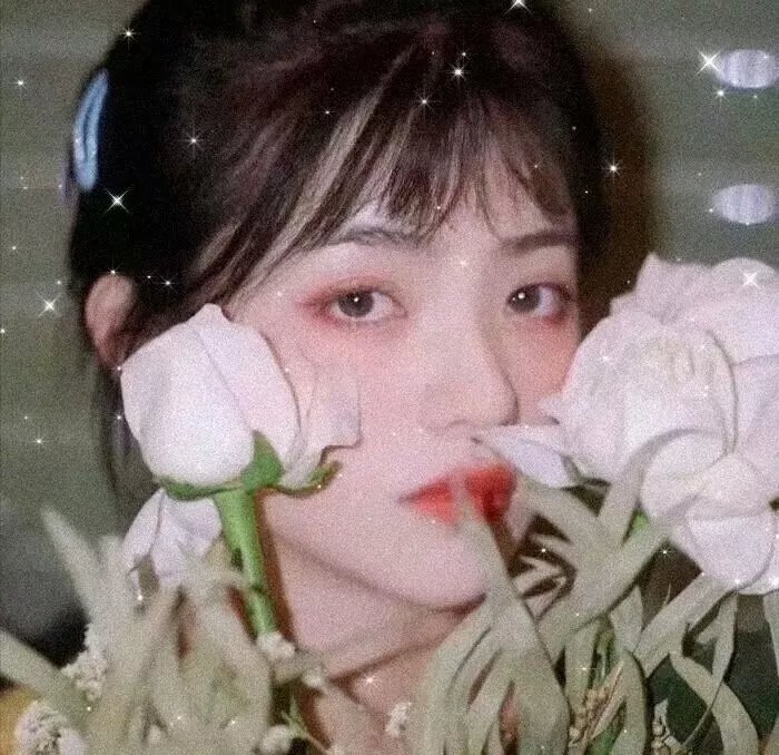 少狼:大电影
